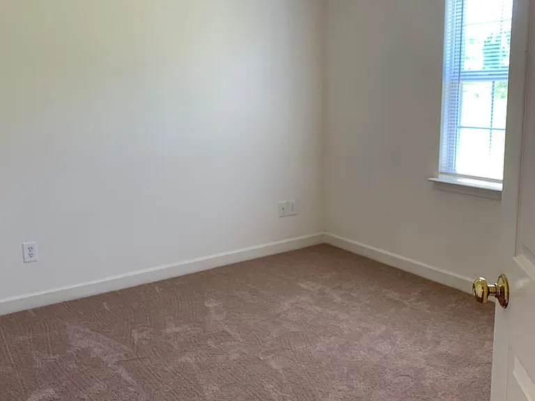 115 Clusters Cir — Photo 19