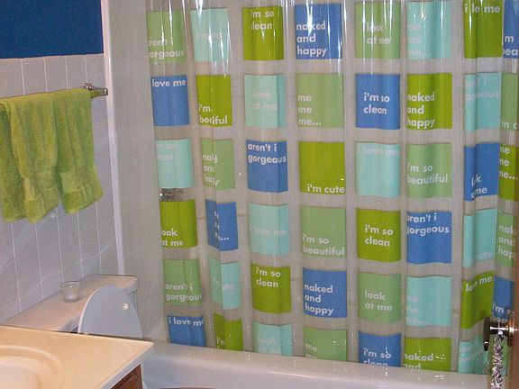 Bathroom #2- Full bath with shower/tub.