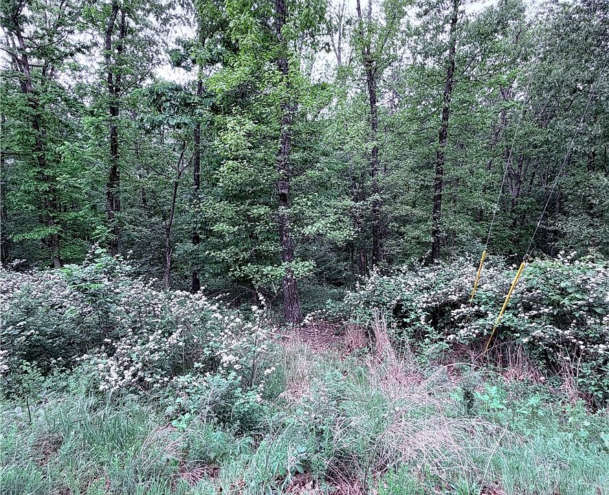 2nd image of 31 Dickenshire Dr
