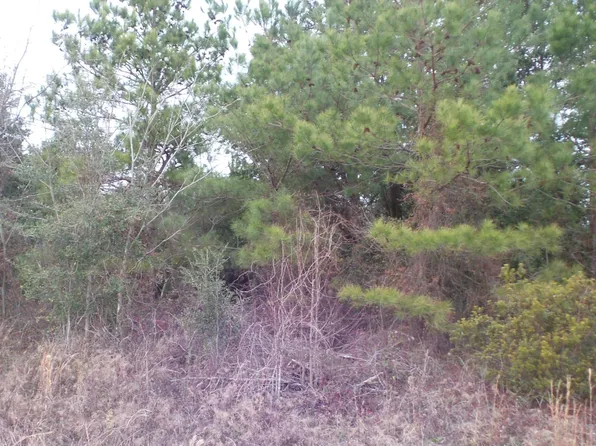 1 Moonlight Dr, Eutawville, SC 29048