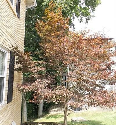 3rd image of 2012 Beechwood Dr