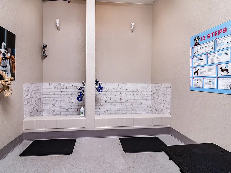 Pet Wash
