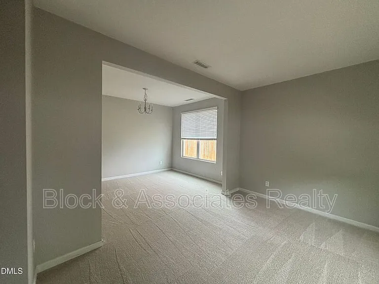 4 White Spruce Ct — Photo 11