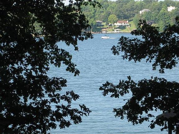 WOW!  Thru the Trees!