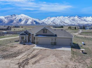 2165 Hog Tommy Rd, Spring Creek, NV 89815