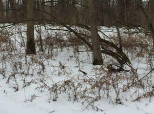 603 Big Run Rd, Delaware, OH 43015