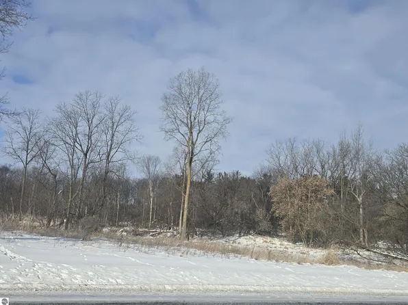 S Pine River St, Ithaca, MI 48847