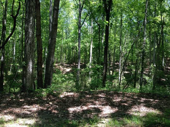 1218 Nick Watts Rd, Lugoff, SC 29078