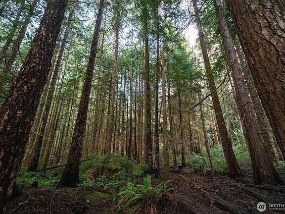 5th image of 4145 Glendale Road