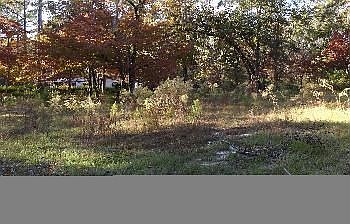 2nd image of 70 Kathy Ann Dr