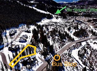 52 Alders Ln, Dillon, CO 80435