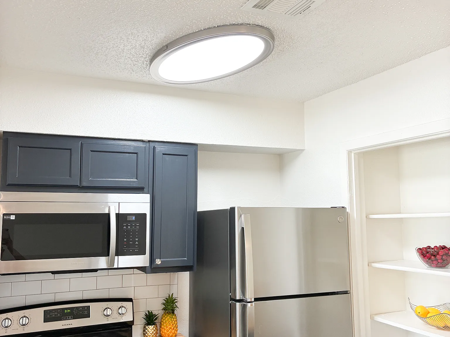 1 bed, 525 sqft, $835 — Photo 3