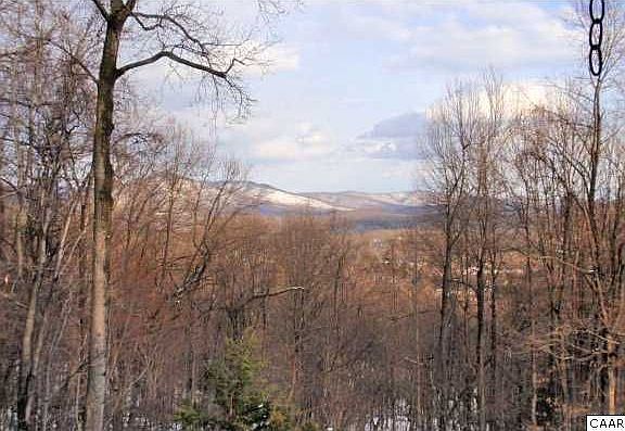 Beautiful seasonal views of the mountains and the Rockfish Valley. Home offers two nice windows of summer views.