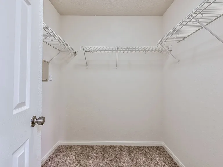 29315 Hickory Terrace Dr — Photo 30