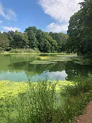 Rented by Space Real Estate