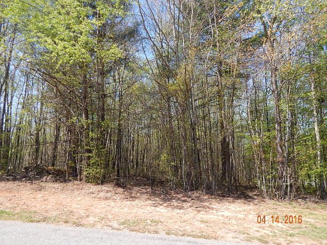 2nd image of 0 Cedar Ridge Dr