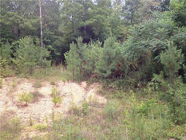 2nd image of 0 Deer Creek Rd