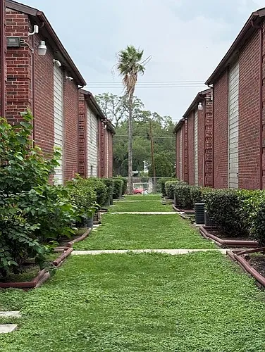 Hutchins Palms Photo 1