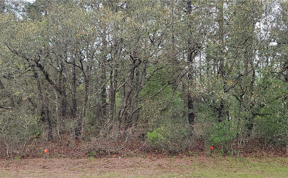 1st image of 7662 N Maltese Dr