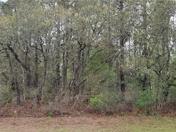 7662 N Maltese Dr, Citrus Springs, FL 34433