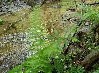 Natures Way, Blue Ridge, GA 30513