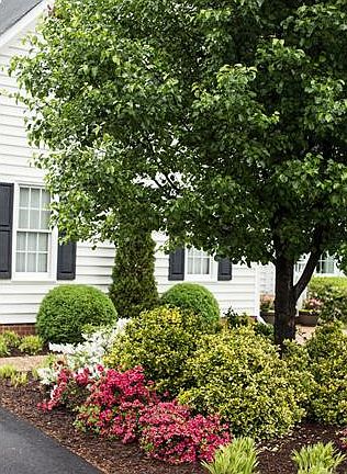 3rd image of 9088 Winterham Dr