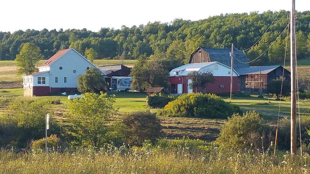 Property photo 4
