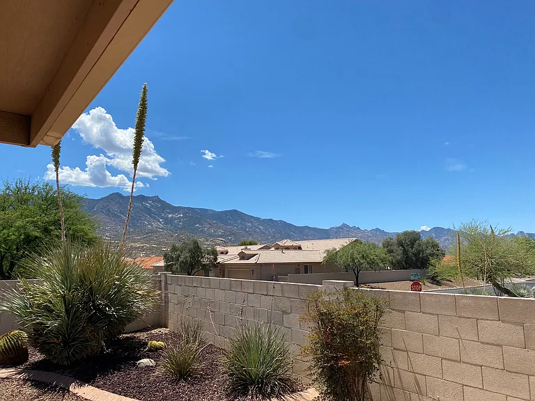 View from Backyard