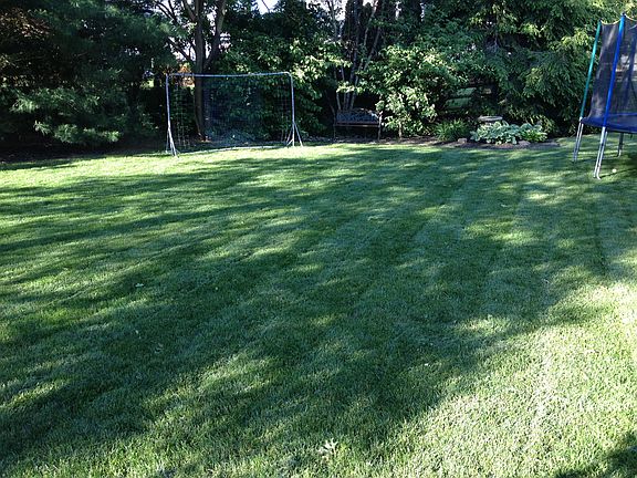 The Back Yard