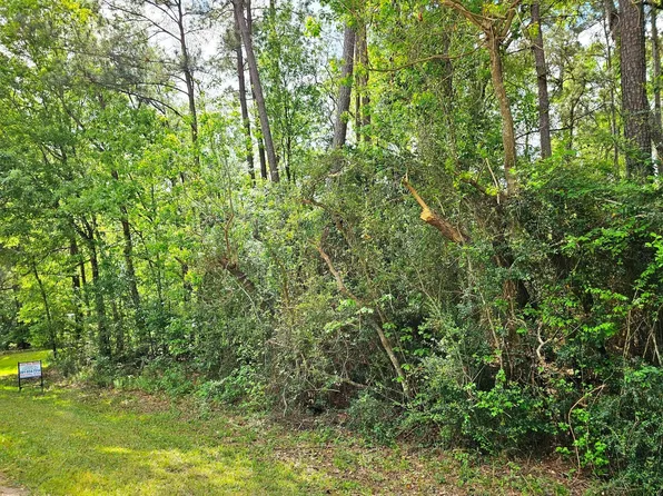 Bernard Ct, Porter, TX 77365