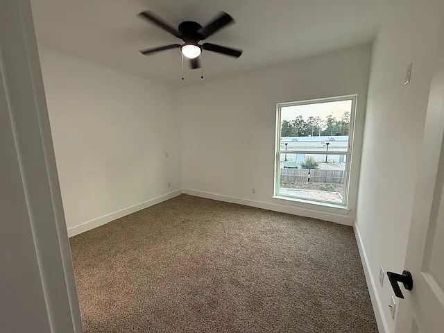 Pin Oak — Photo 8