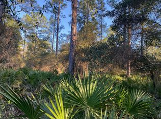 119 Dogwood Ave, Georgetown, FL 32139