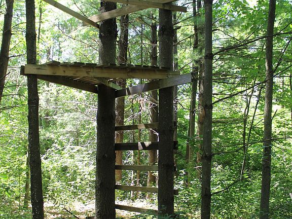 A relatively new stand along the trail.