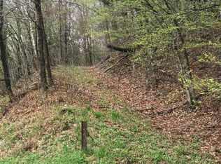 Campbell Brook Rd, Downsville, NY 13755