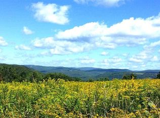 189 Treyz Hill Rd, Livingston Manor, NY 12758