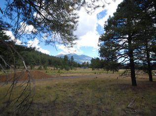 9301 Redtail Rd, Flagstaff, AZ 86001