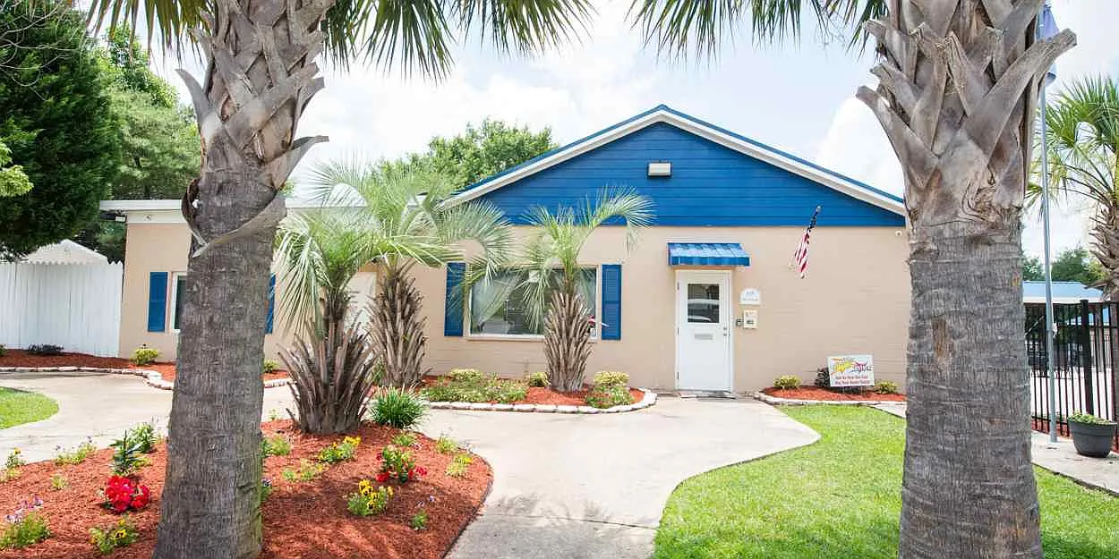 Palmetto Palms — Photo 3