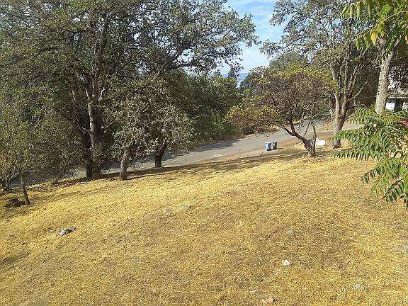 4642 Foothill Dr yard