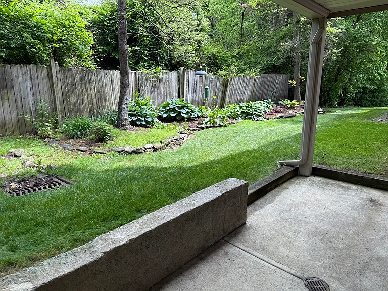 Patio view