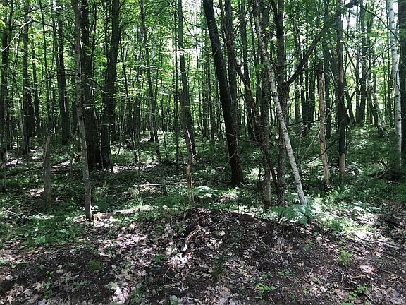 3rd image of LOT Star Lake Rd