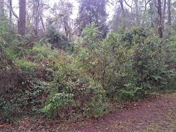 0 Pinecrest St, Evergreen, AL 36401