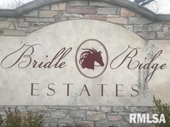 10 Stallion Way, Goodfield, IL 61742
