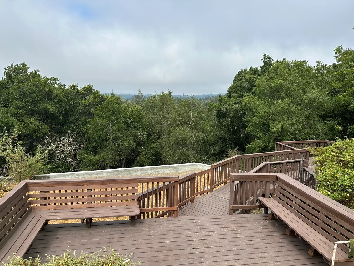 Outdoor decks and large gardening area - 111B Crescent Ct #B