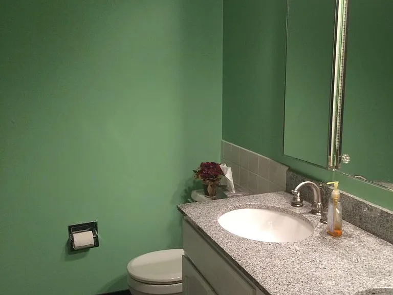 Updated hall bath