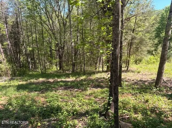 0 Bivens Ct Lot 12, Niota, TN 37826