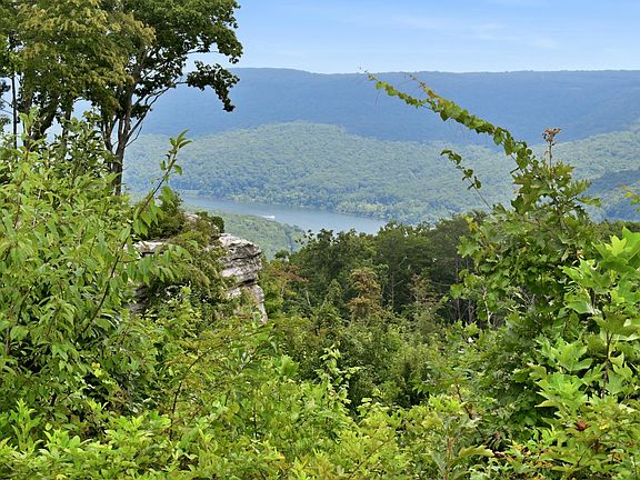 3rd image of 0 River Rd Lot 1299