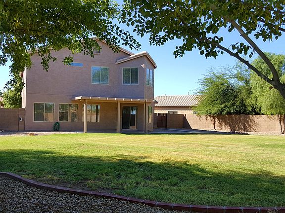 Back garden shady area