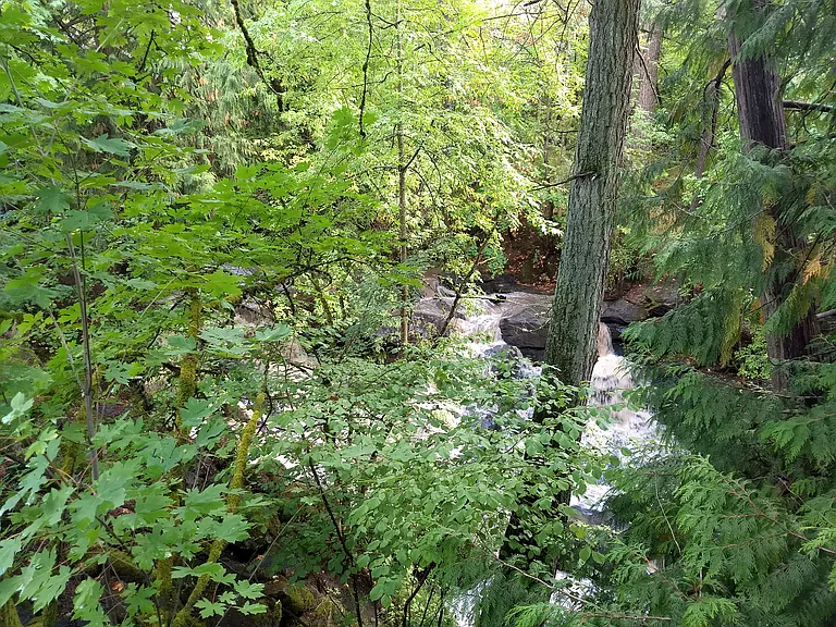 Waterfall heard from back porch within short walking distance