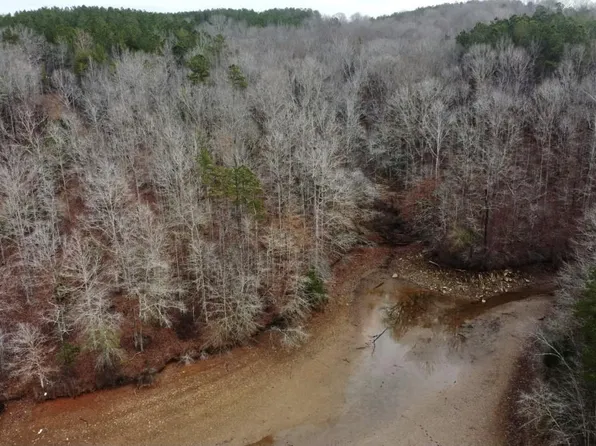 County Road 499, Woodland, AL 36280