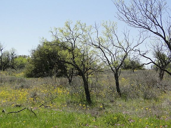 2nd image of Wild Oak Acres Dr